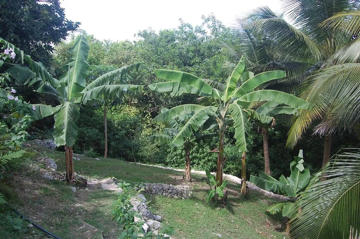 Studio At Le Gosier, Close To Beaches, And Spots غوادلوب
